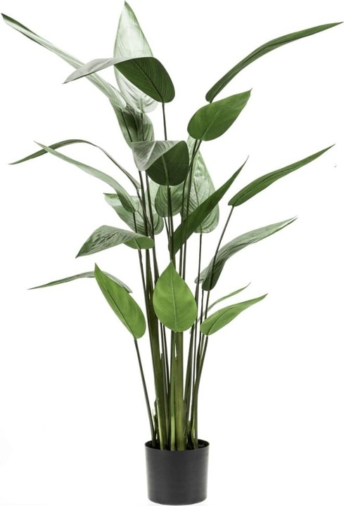 Produktbild Emerald Bara (125 cm)