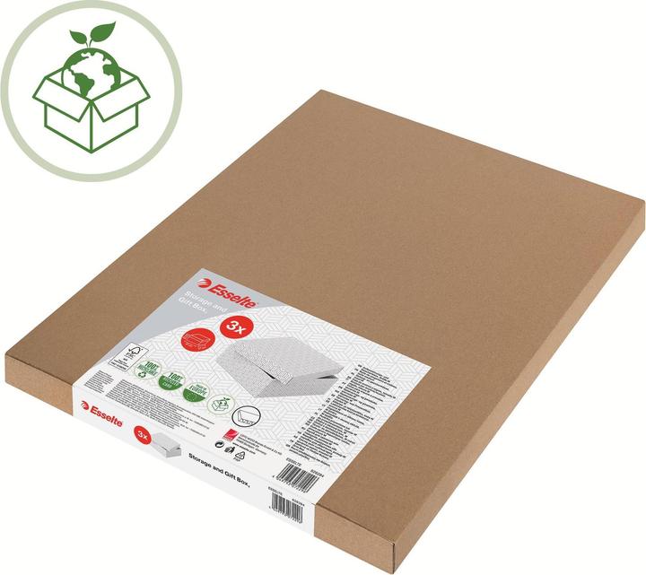 Actual product image Esselte HOME - Storage boxes (20 x 15 cm)