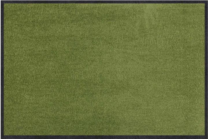 Immagine prodotto Salonloewe Salvia (40 x 60 cm)