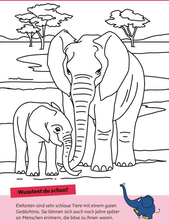 Immagine prodotto Die Maus - Malblock mit Sachwissen Natur und Tiere (Tedesco, pen2nature, 2024)