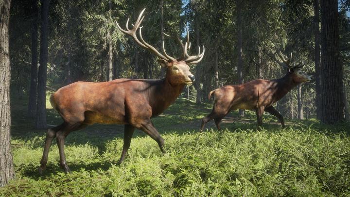 Produktbild THQ PS4 The Hunter Call of the Wild (PS4, FR, EN)