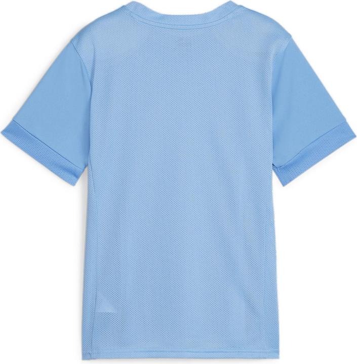 Produktbild Puma teamGOAL Matchday Jersey jr (116)