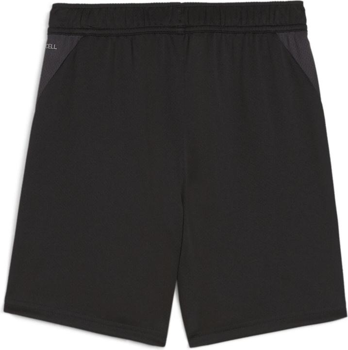 Actual product image Puma teamGOAL Training Short Jr (140)