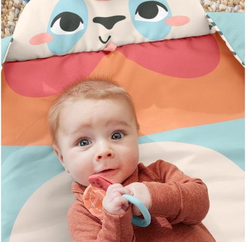 Actual product image Fisher-Price 0