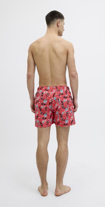 Actual product image Jack & Jones Regular Fit Badeshorts Badeshorts