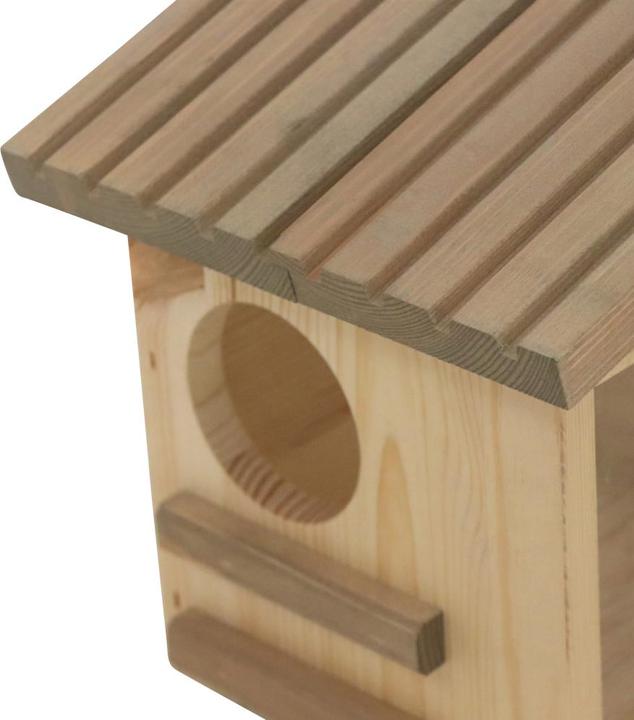 Immagine prodotto Siena Garden Scoiattolo