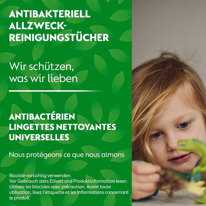 Image du produit Dettol Objectif général