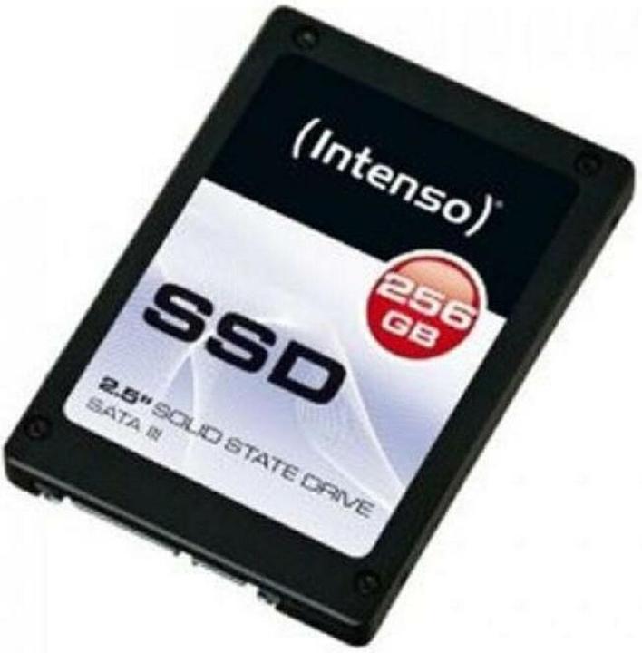 Actual product image Intenso Top Performance (256 GB, 2.5")
