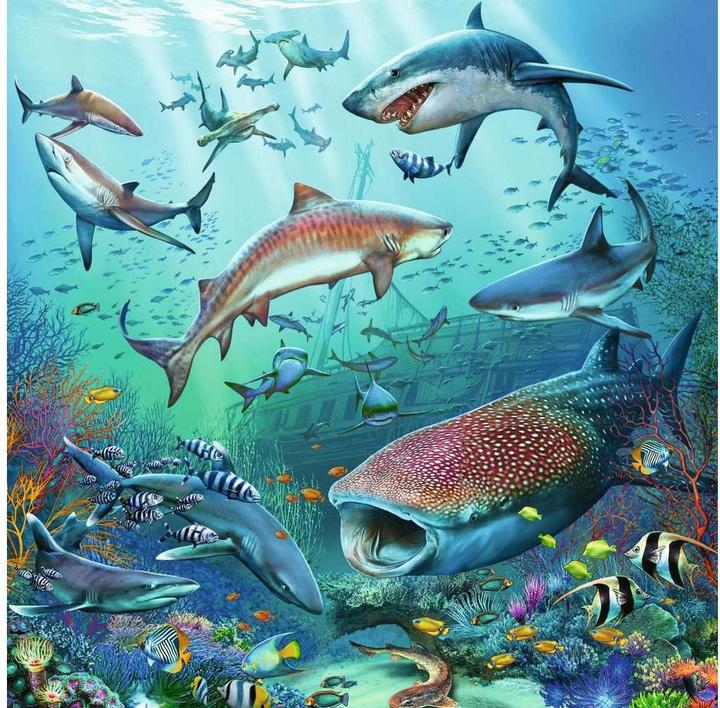 Actual product image Ravensburger marine life (49 pieces)