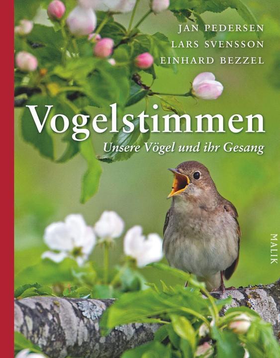 Produktbild Vogelstimmen (Deutsch, Einhard Bezzel, 2012)
