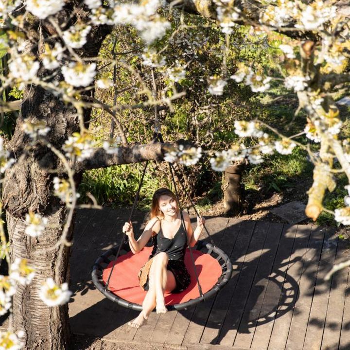 Actual product image Relaxdays 120 cm Nest Swing