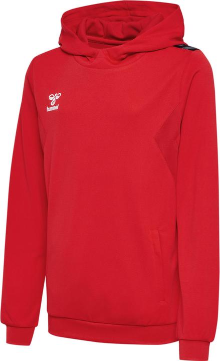 Immagine prodotto hummel Hmlauthentic Pl Hoodie Kids (128)