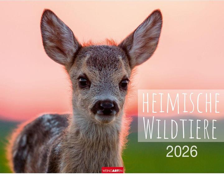 Heimische Wildtiere Kalender 2026 (44 x 34 cm)