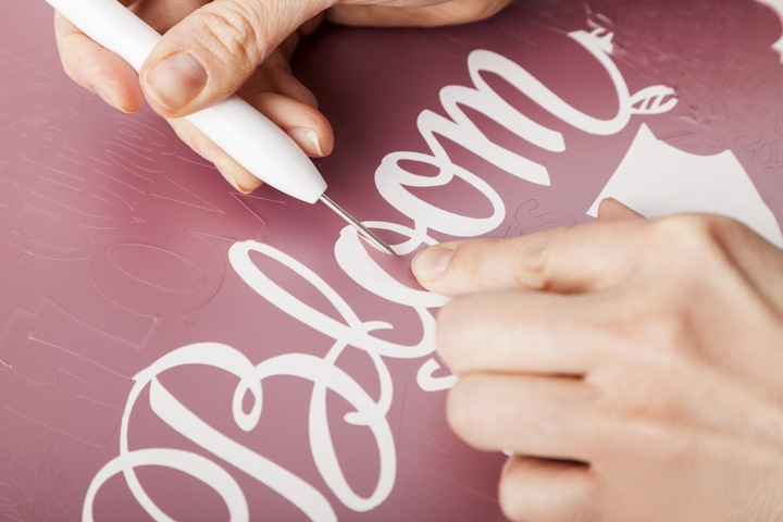 Actual product image Cricut Tool weeding hook set