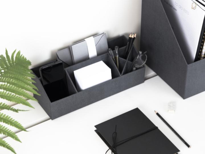 Produktbild Bigso ELISA Canvas