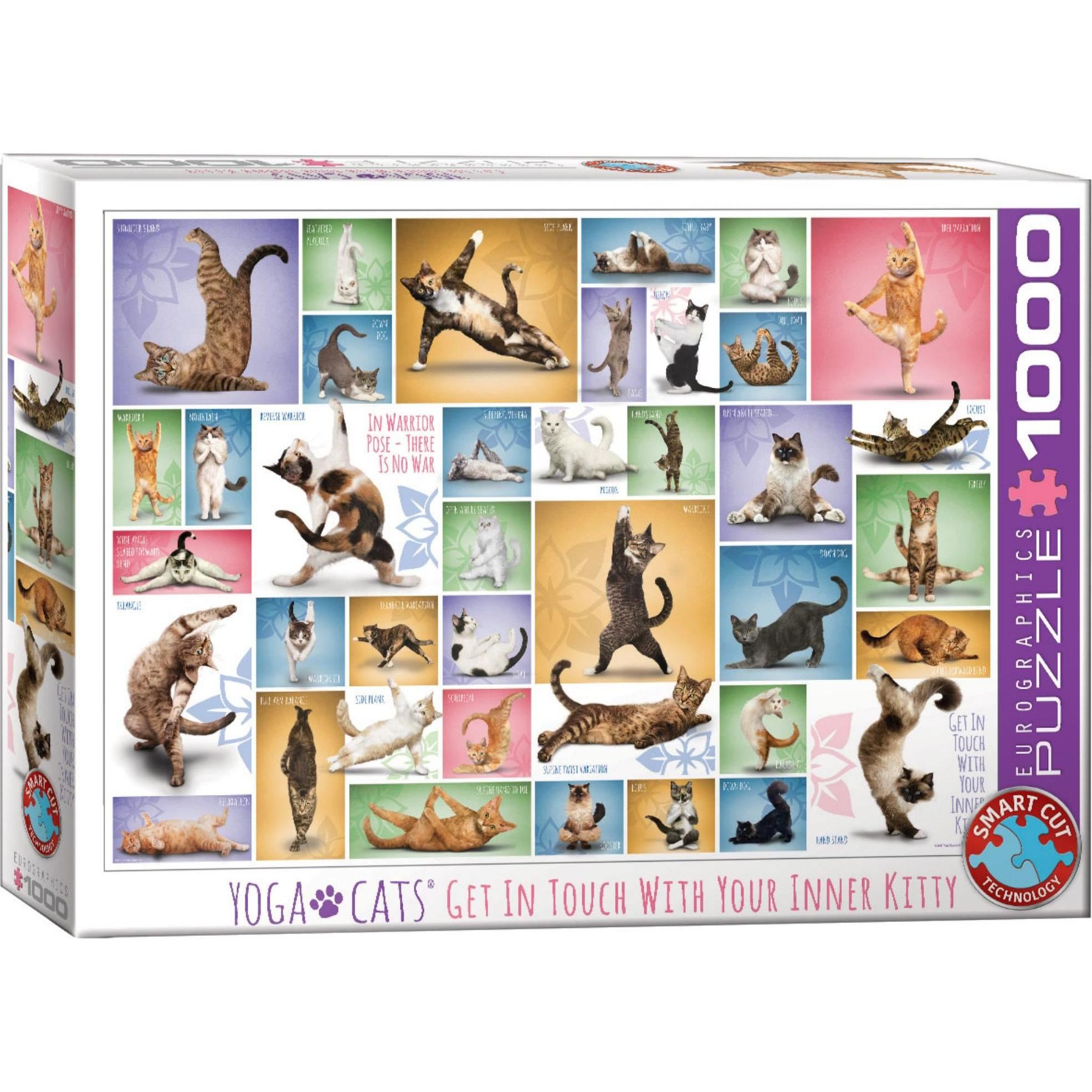 Eurographics Yoga Katzen (1000 Teile)
