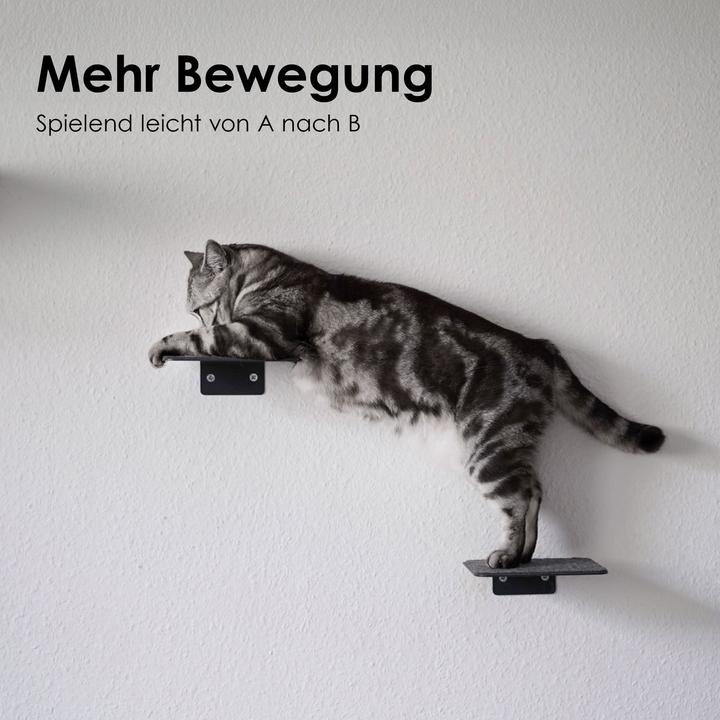 Image du produit LucyBalu STEPS Katzentreppe (Chat)