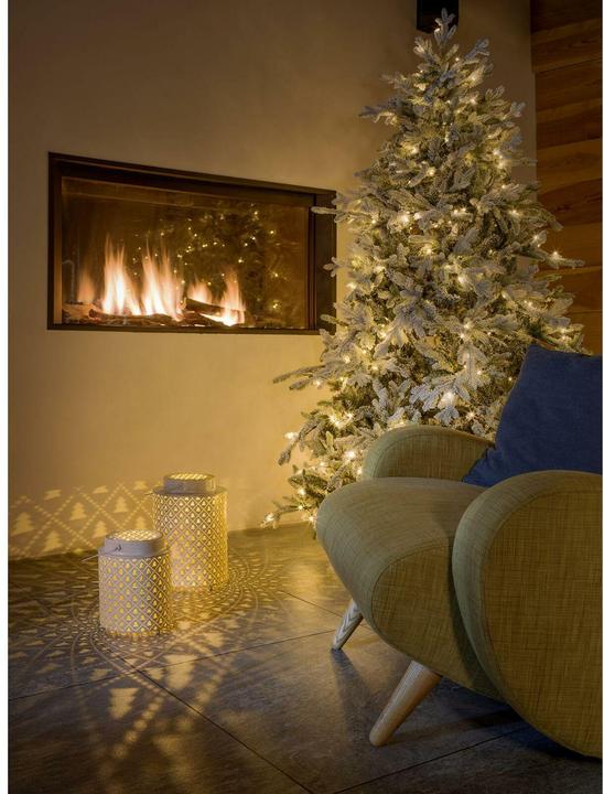 Image du produit STT Aura tree, 22