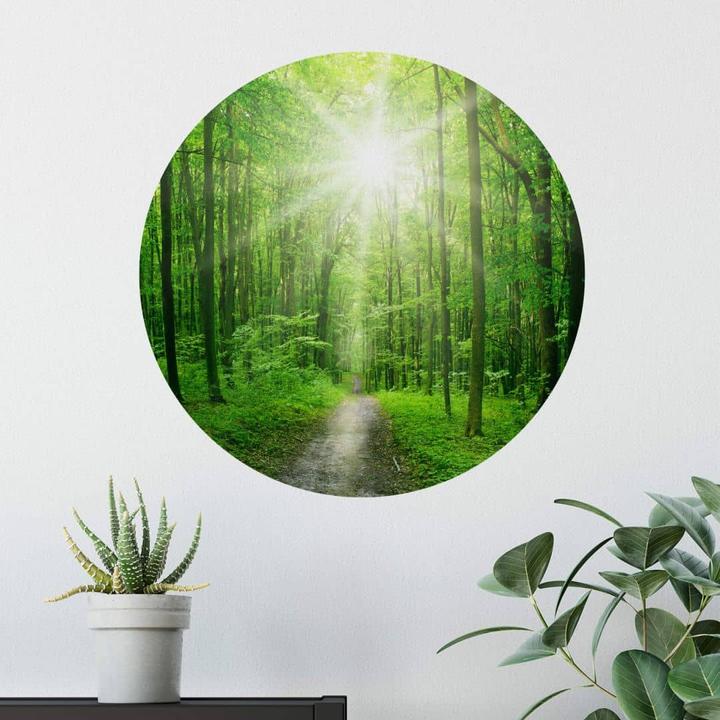 Image du produit Trenddeko Forêt ensoleillée (Ø 50 cm)