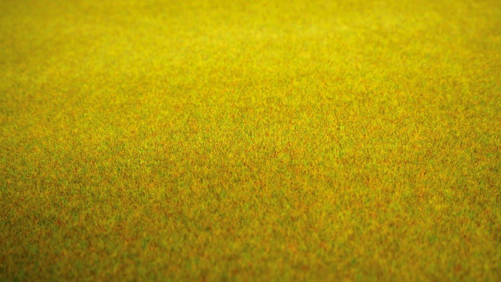 Actual product image Noch Terrain mat summer meadow (L x