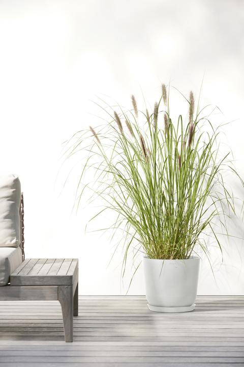 Actual product image Ecopots Oslo 25 + Water Reservoir White Grey (25 x 21.40 cm)