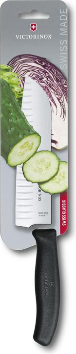 Actual product image Victorinox Swiss Classic (17 cm)