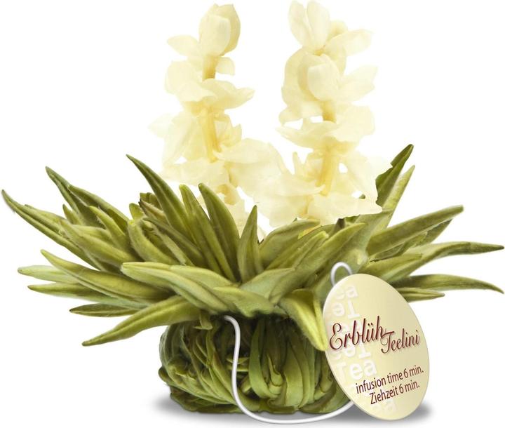 Produktbild Creano Erblühteelini 8er Set (40 g)