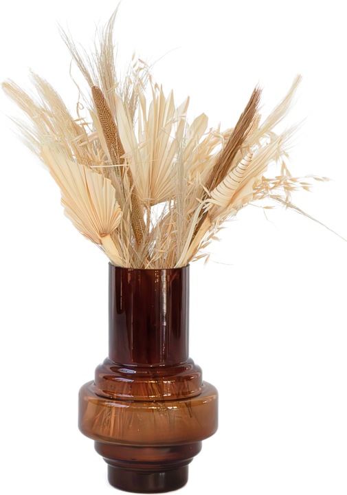 Produktbild Plant in a Box Luffa, Palm Spear, Broom grass, Palm Sun, Oat grass, Cane Cone, Babla - (60 cm)