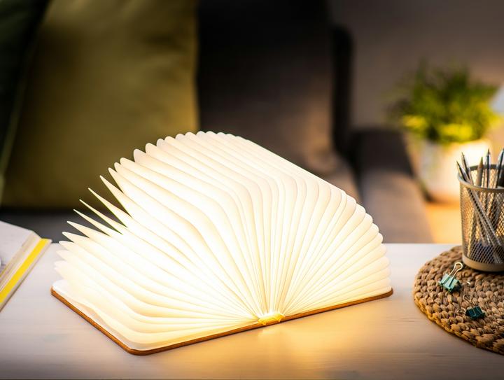 Immagine prodotto Gingko Luce del libro intelligente