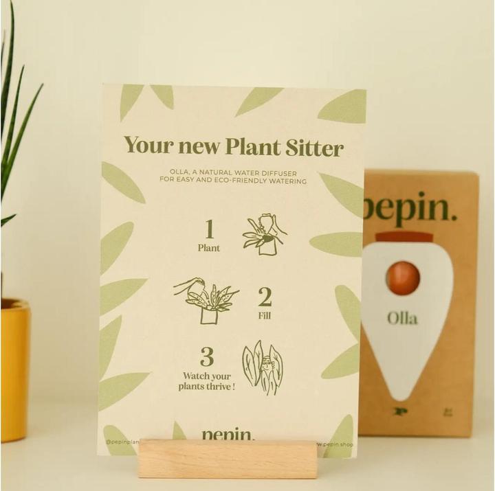 Actual product image Pepin Olla (Clay cone)