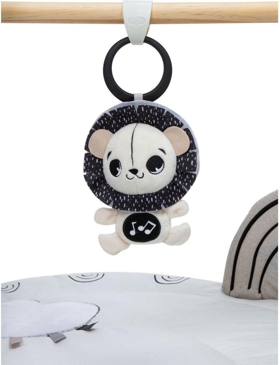 Immagine prodotto Tiny Love Gymini Luxe