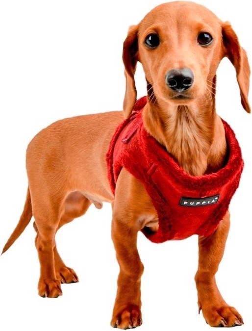 Produktbild Puppia Terry B Geschirr (L, Hund)