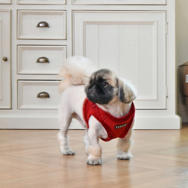 Produktbild Puppia Terry B Geschirr (L, Hund)