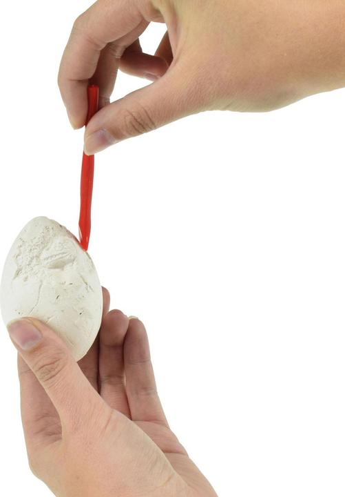 Actual product image Toi-Toys World of Dinosaurs excavation set dino egg