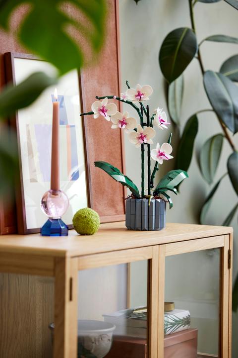 Immagine prodotto LEGO Orchidea (10311, LEGO Botanical)