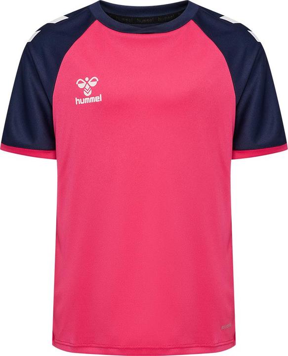 Marine, Raspberry, sorbet