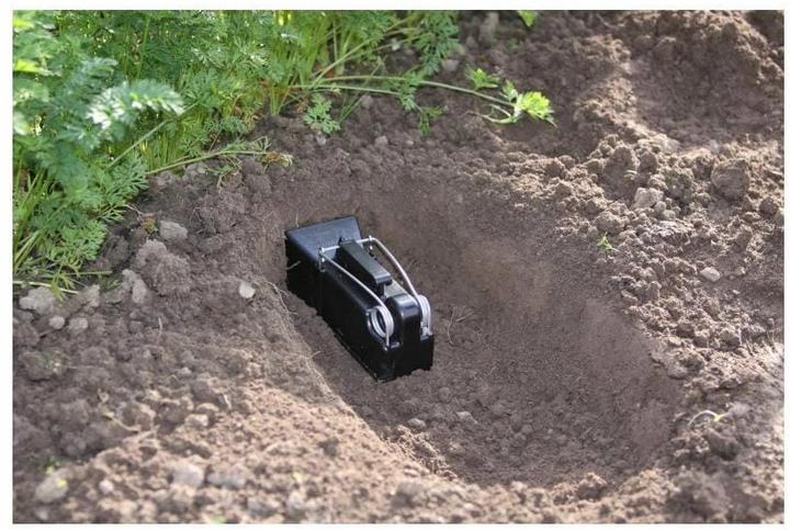 Immagine prodotto Neudorff Arvicola