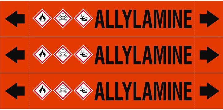 Actual product image Brady ASME - Pipe markers - Allylamine