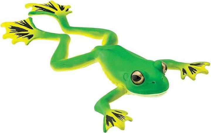 Actual product image Safari Flying tree frog