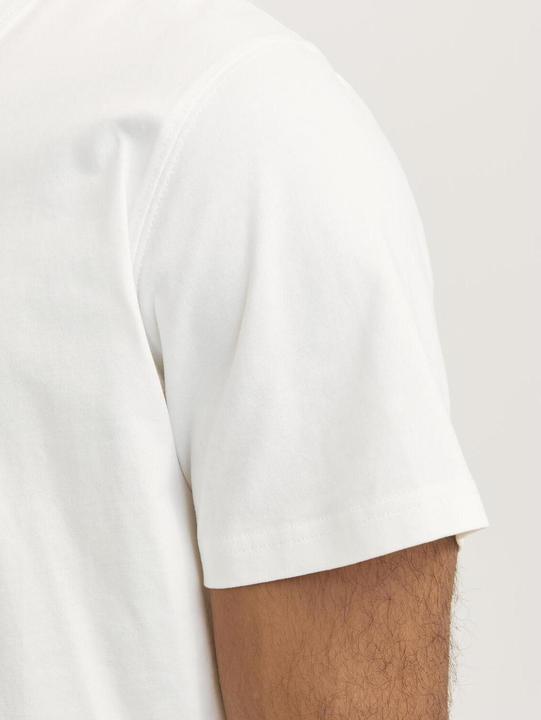 Produktbild Jack & Jones Rdddan Crew Neck Tee S/S Noos (M)