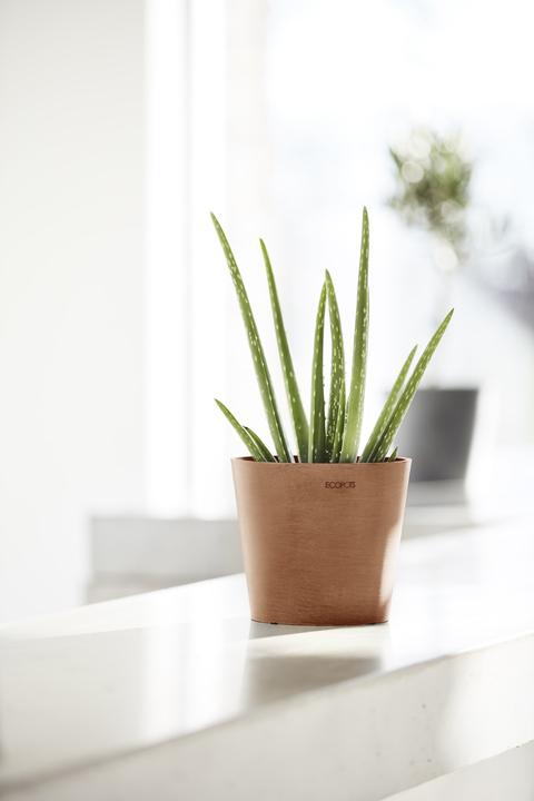 Immagine prodotto Ecopots Amsterdam Mini (17 cm)