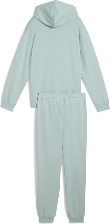 Actual product image Puma Loungewear Suit TR G (164)