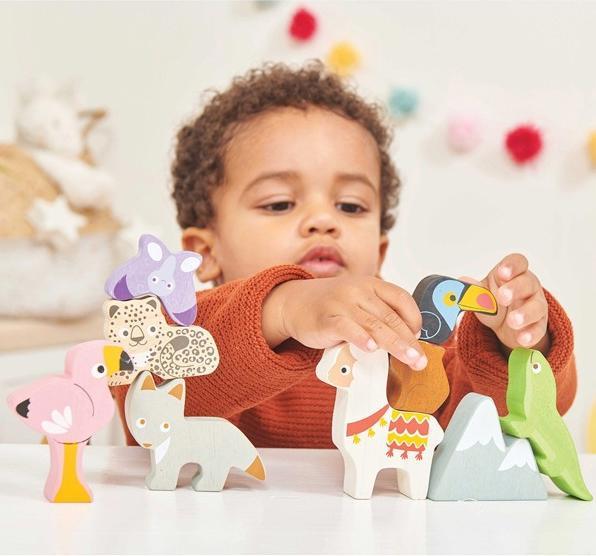 Actual product image Le Toy Van Petitlou, Andes Stacking (LPL113)
