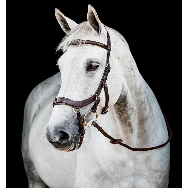 Produktbild Horseware Micklem Multi