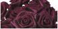 Actual product image Rayher Satin roses