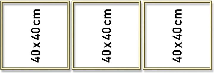 Actual product image Schipper MNZ aluminum frame triptych 40/120