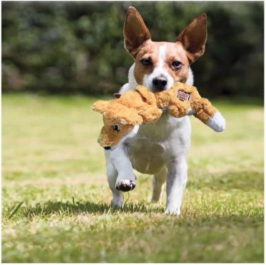 Image du produit KONG Scrunch Knots Fox M (6.5x15cm) (Jouet en peluche chien)