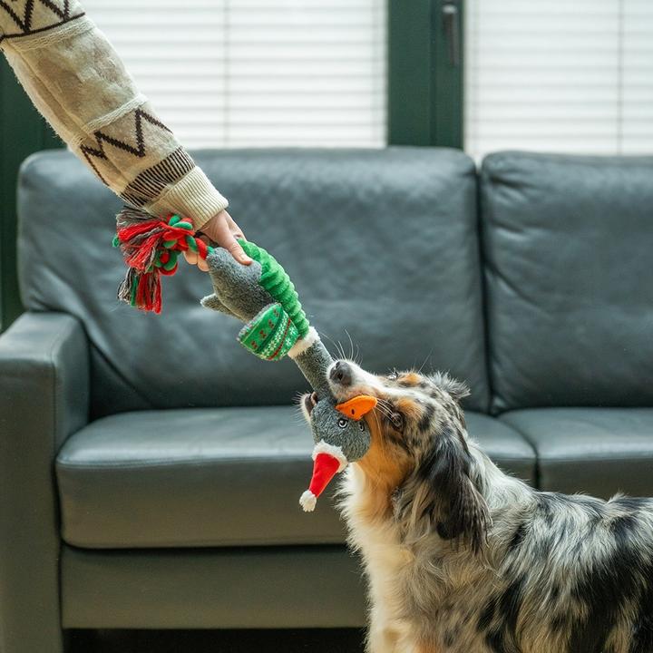 Actual product image Nobby Oie de Noël (Plush toy dog)