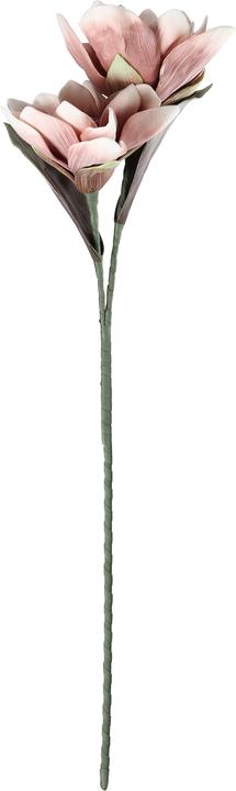 Produktbild EGLO LIVING Molave (83 cm)