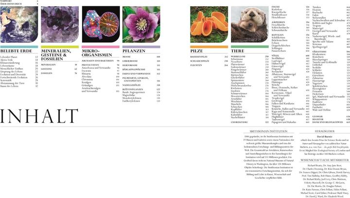 Actual product image Die Natur in über 5000 Fotos (German, David Bernie, 2021)